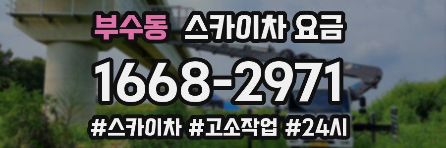 부수동 스카이차 요금