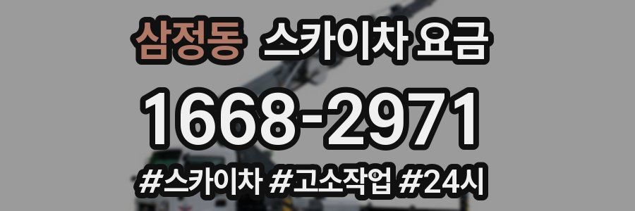 삼정동 스카이차 요금