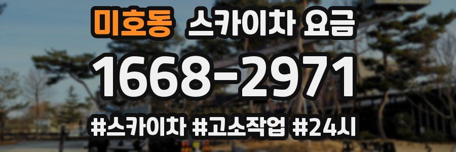 미호동 스카이차 요금