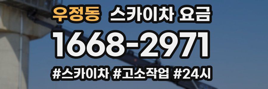 우정동 스카이차 요금