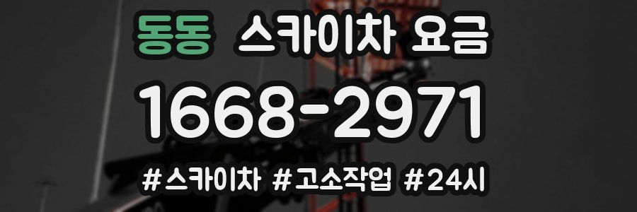 동동 스카이차 요금
