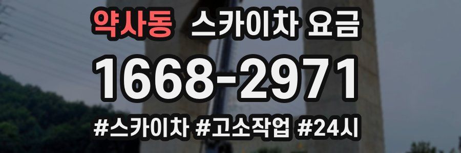 약사동 스카이차 요금