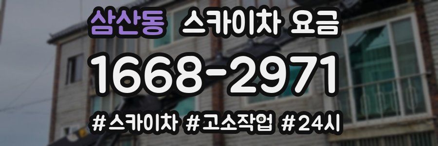 삼산동 스카이차 요금
