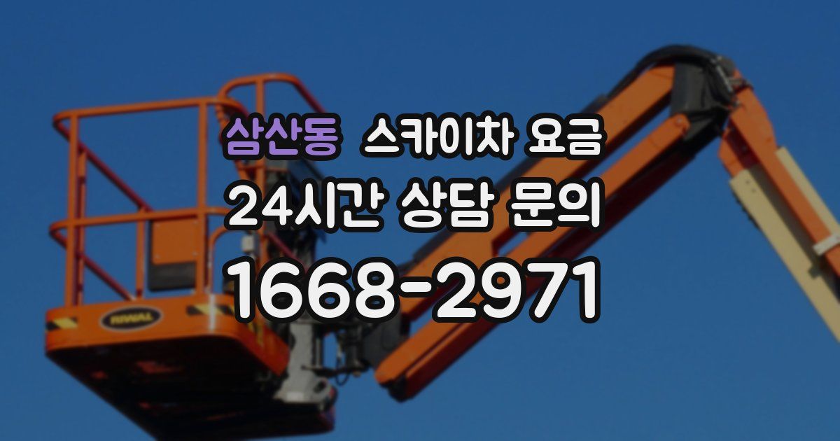 삼산동 스카이차 요금