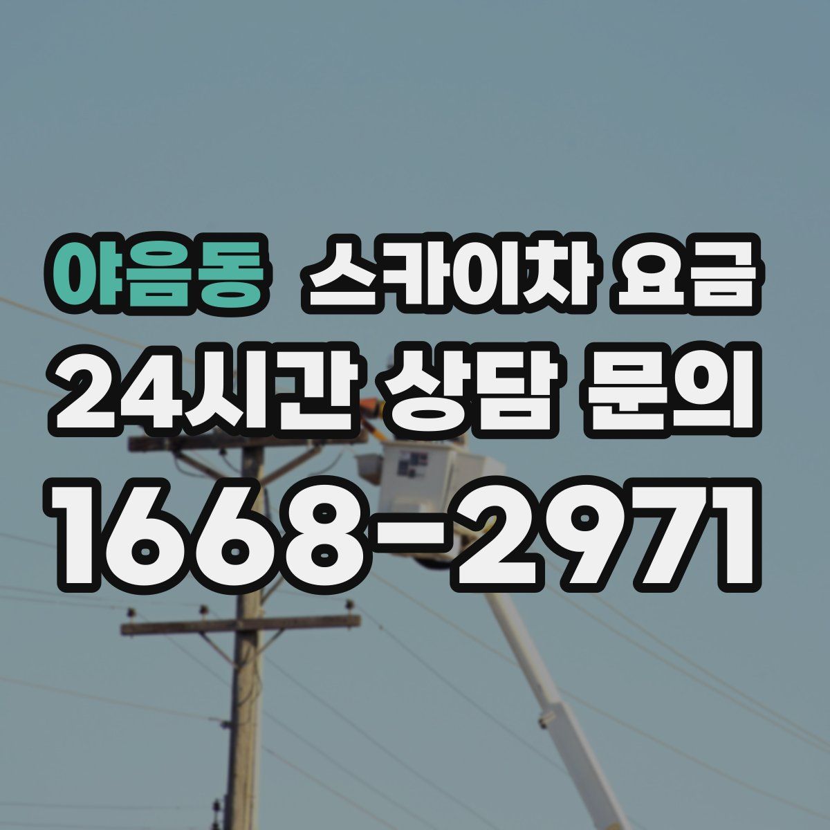 야음동 스카이차 요금