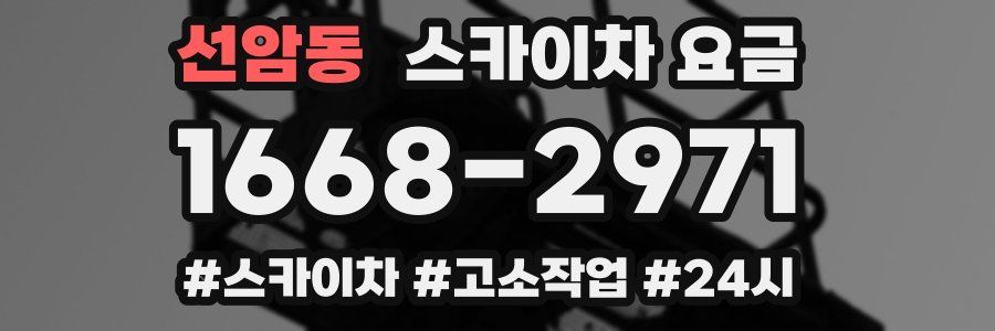 선암동 스카이차 요금