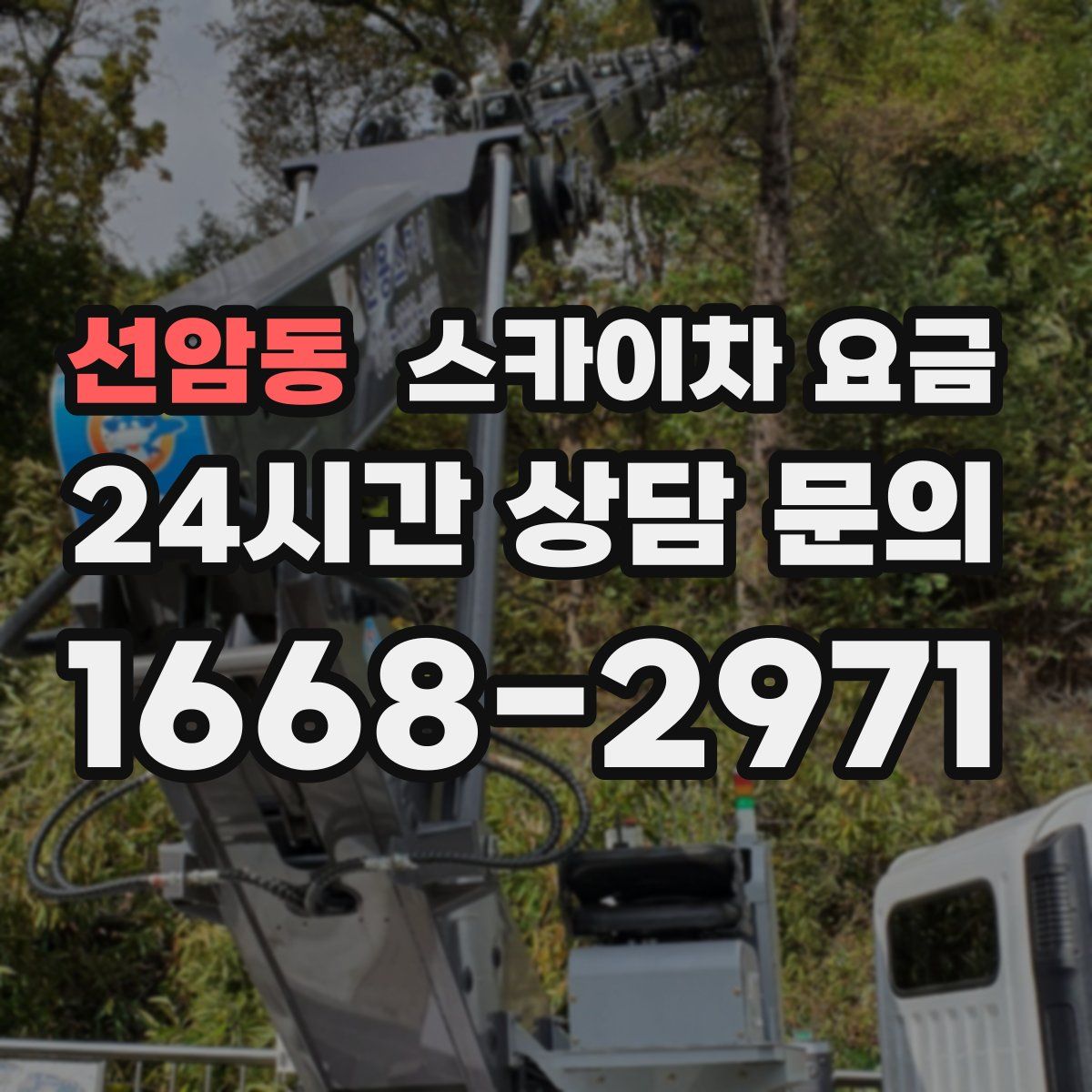 선암동 스카이차 요금