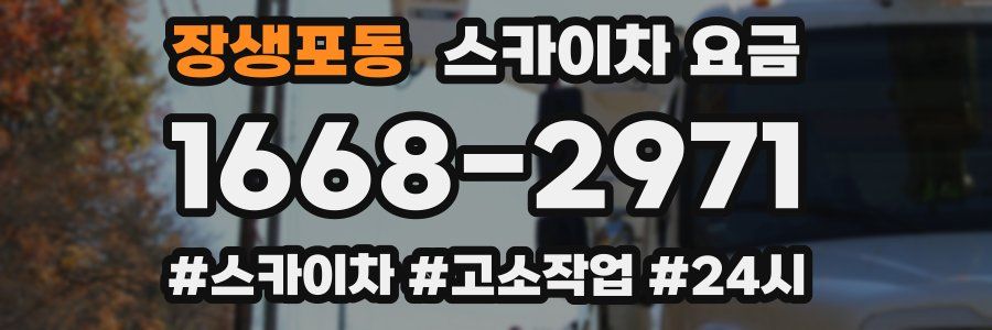 장생포동 스카이차 요금