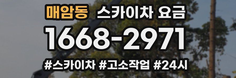매암동 스카이차 요금