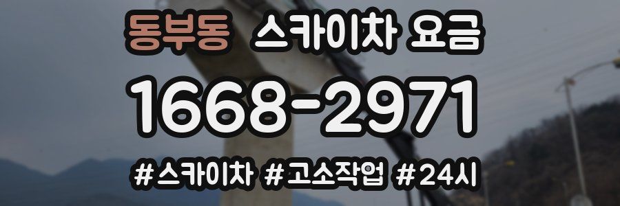 동부동 스카이차 요금