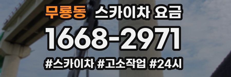 무룡동 스카이차 요금