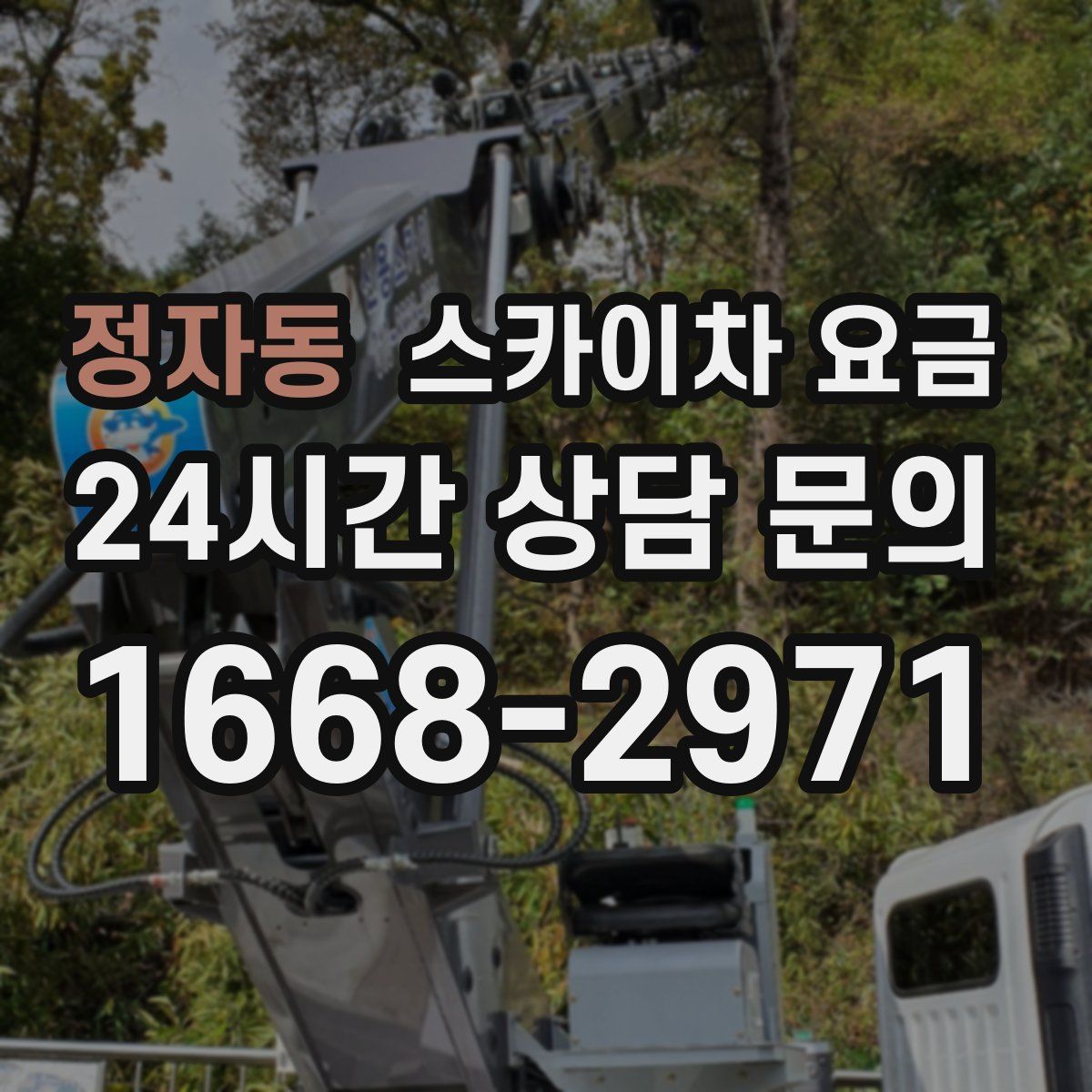 정자동 스카이차 요금
