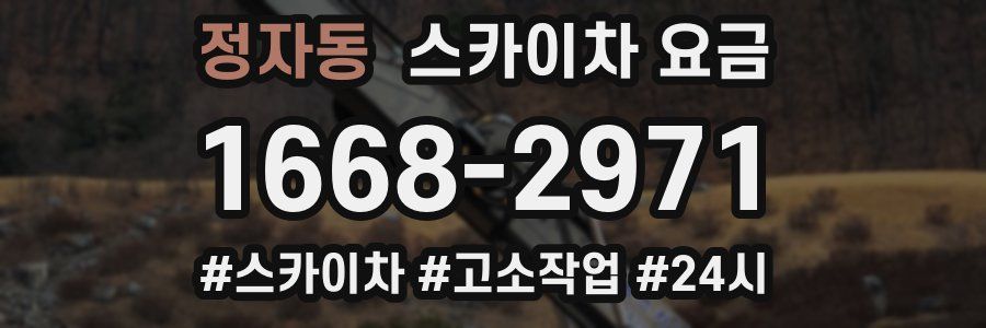 정자동 스카이차 요금