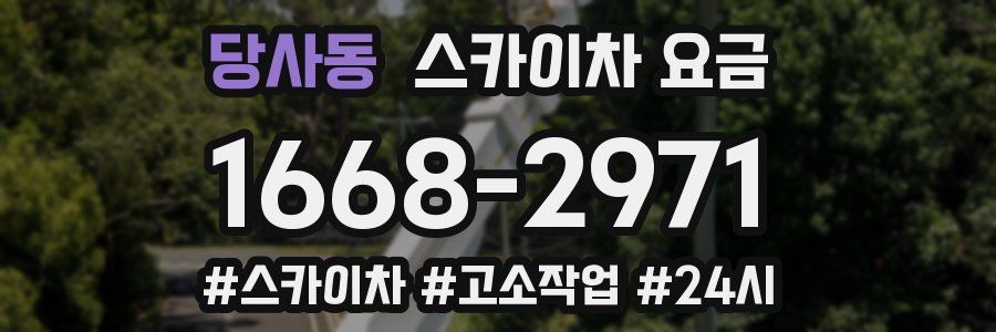 당사동 스카이차 요금