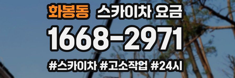 화봉동 스카이차 요금