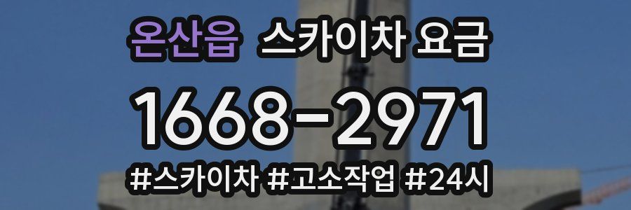 온산읍 스카이차 요금
