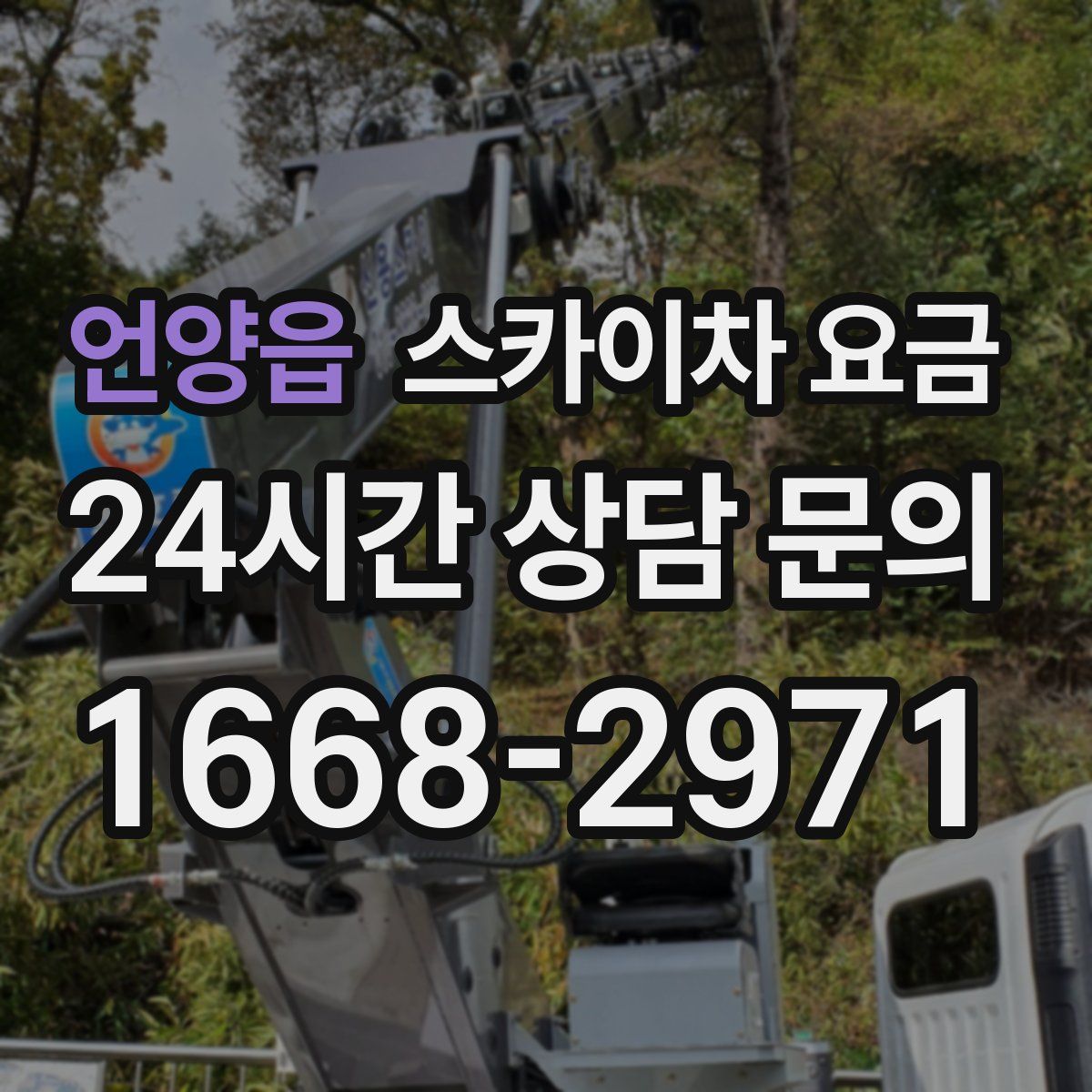 언양읍 스카이차 요금