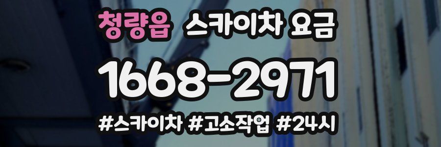 청량읍 스카이차 요금