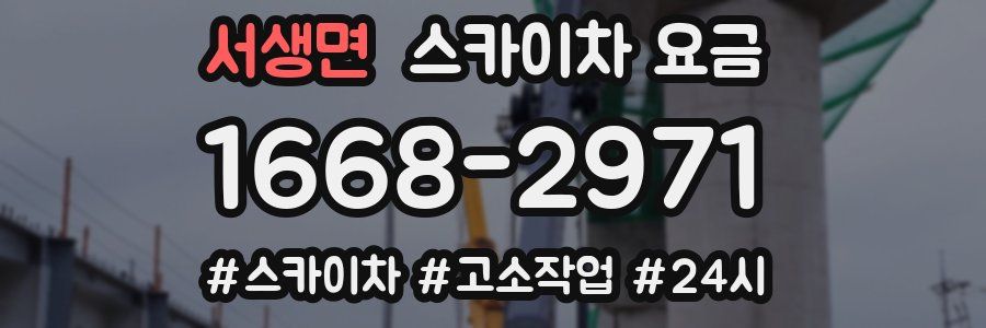 서생면 스카이차 요금