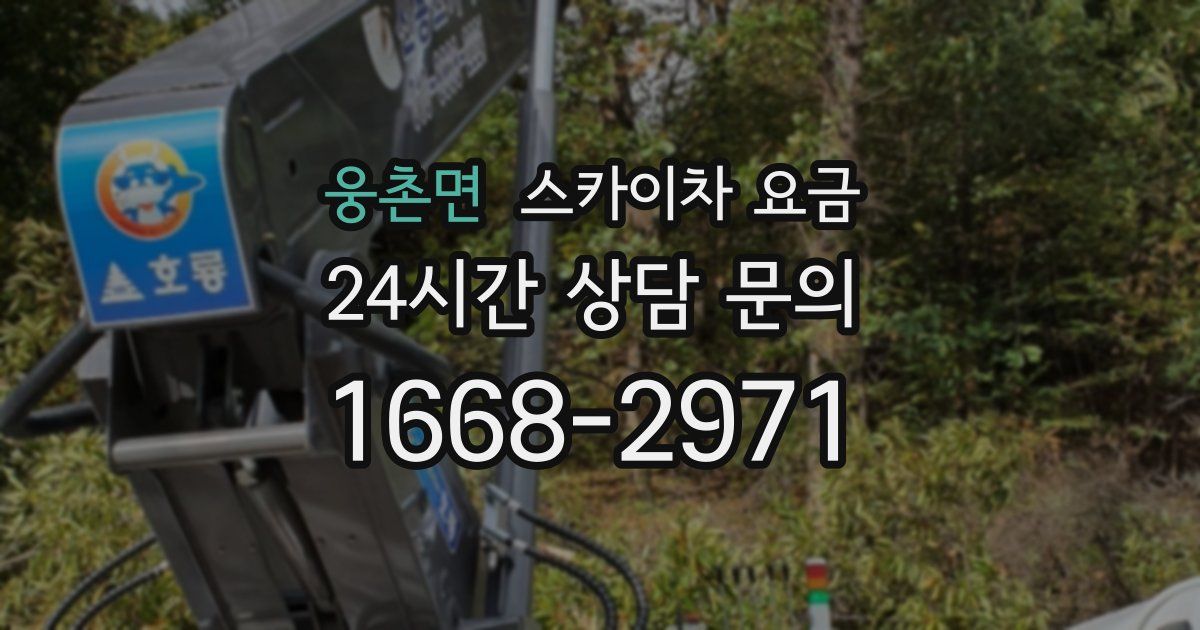 웅촌면 스카이차 요금