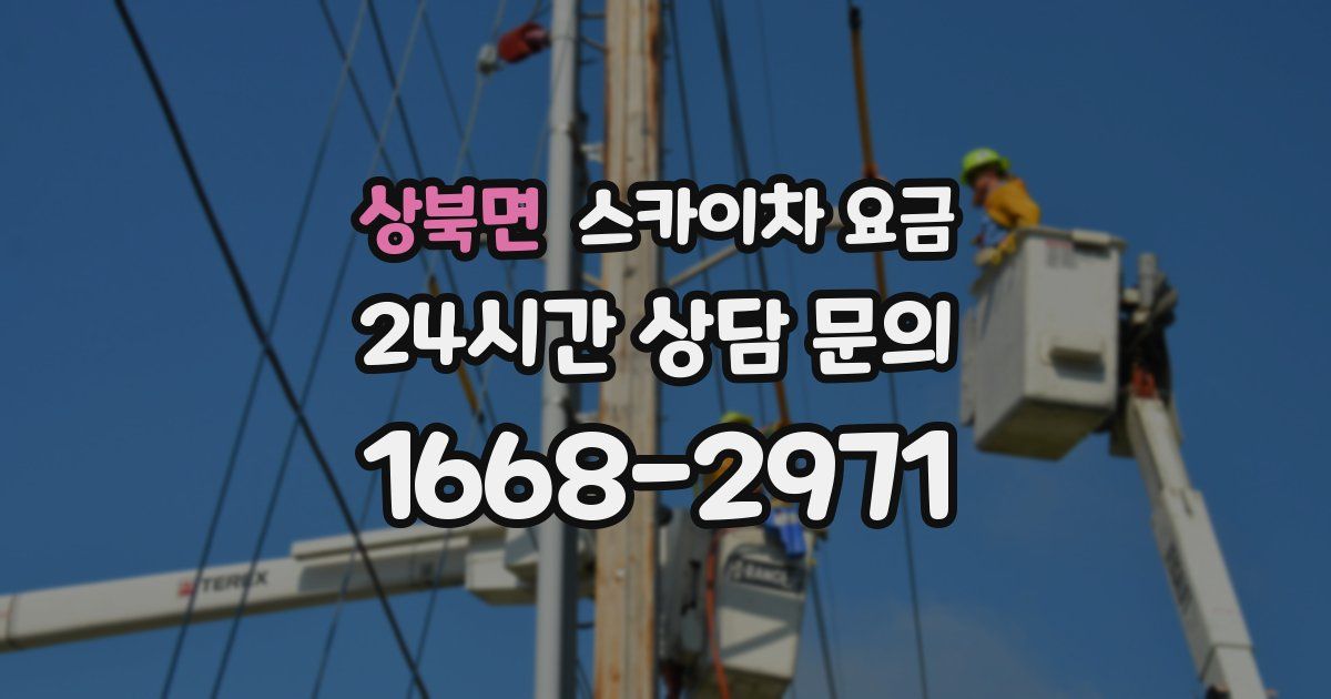 상북면 스카이차 요금
