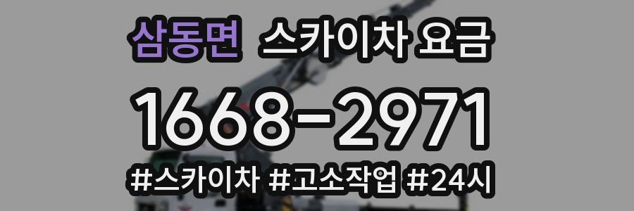 삼동면 스카이차 요금