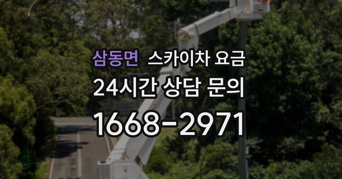 삼동면 스카이차 요금