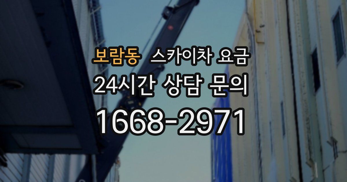 보람동 스카이차 요금