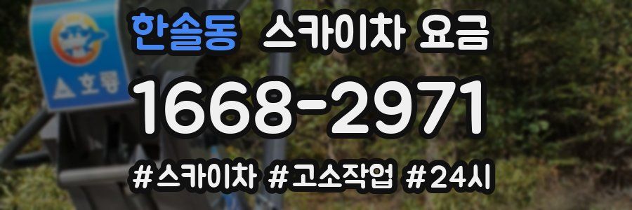 한솔동 스카이차 요금