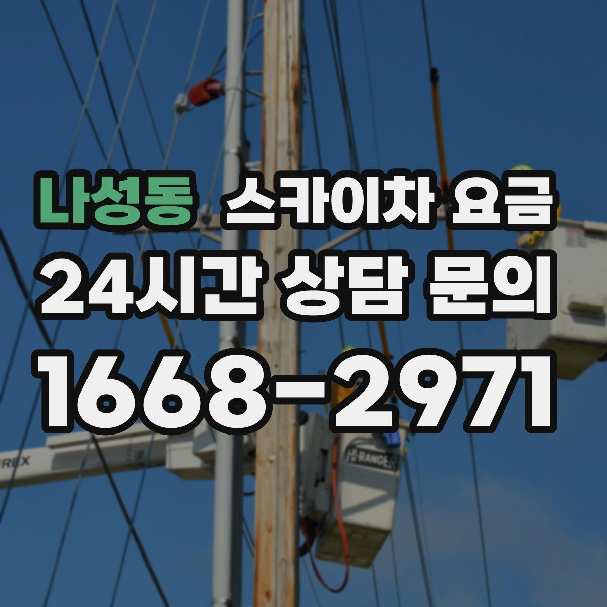 나성동 스카이차 요금