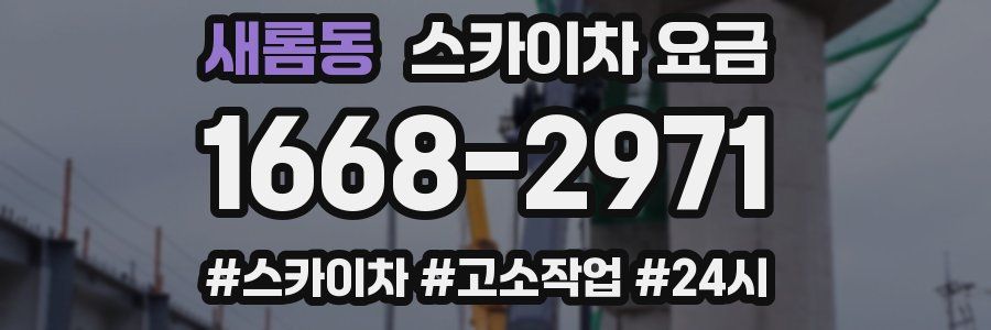 새롬동 스카이차 요금
