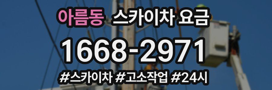 아름동 스카이차 요금