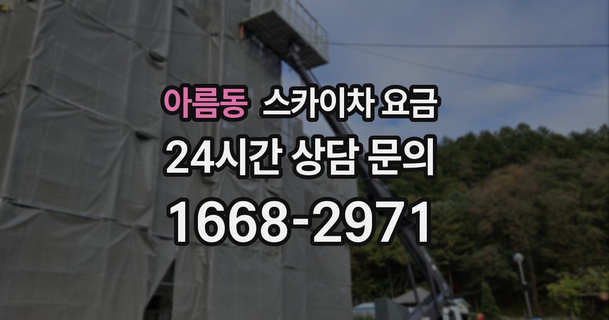 아름동 스카이차 요금