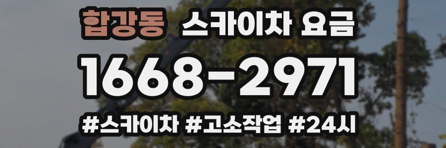 합강동 스카이차 요금