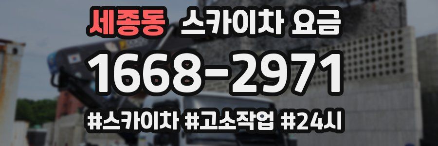 세종동 스카이차 요금