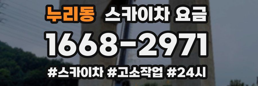 누리동 스카이차 요금