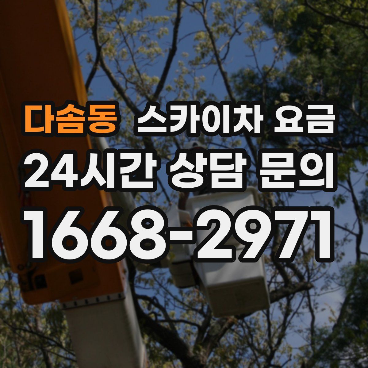 다솜동 스카이차 요금