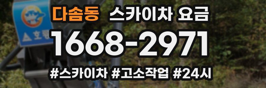 다솜동 스카이차 요금