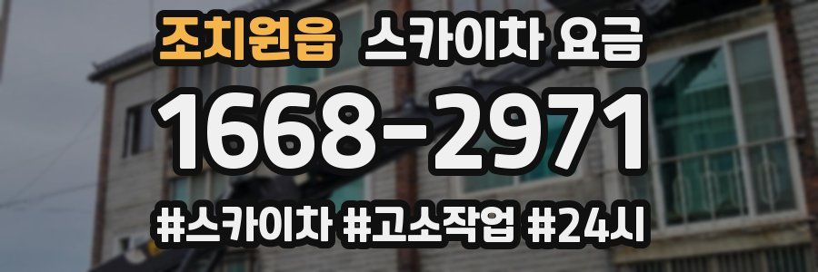 조치원읍 스카이차 요금