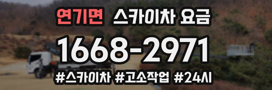 연기면 스카이차 요금