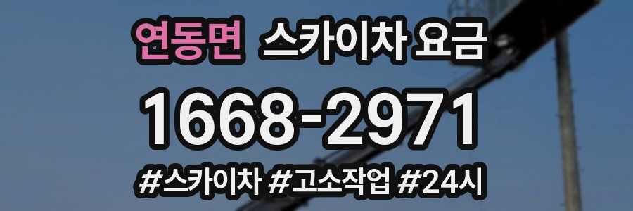 연동면 스카이차 요금