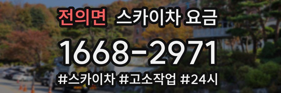 전의면 스카이차 요금
