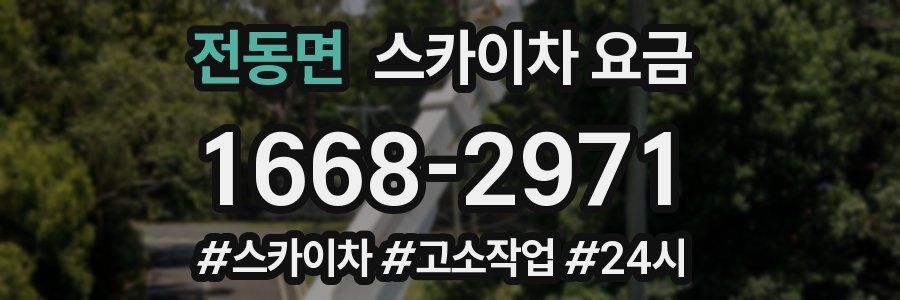 전동면 스카이차 요금