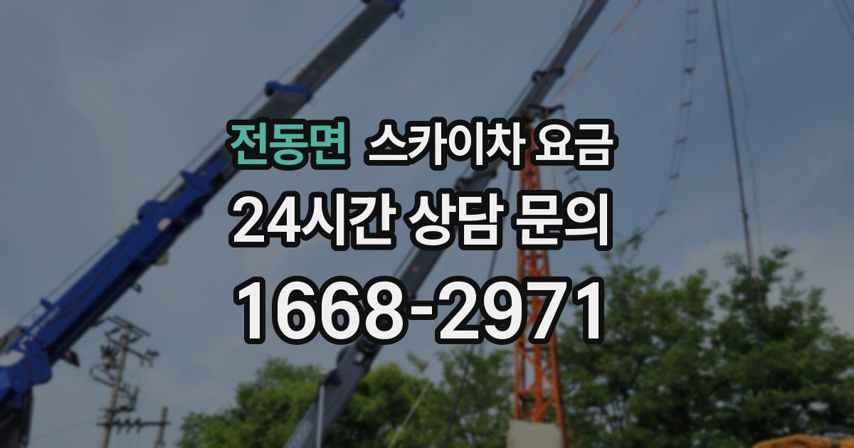 전동면 스카이차 요금