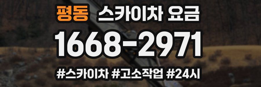 평동 스카이차 요금