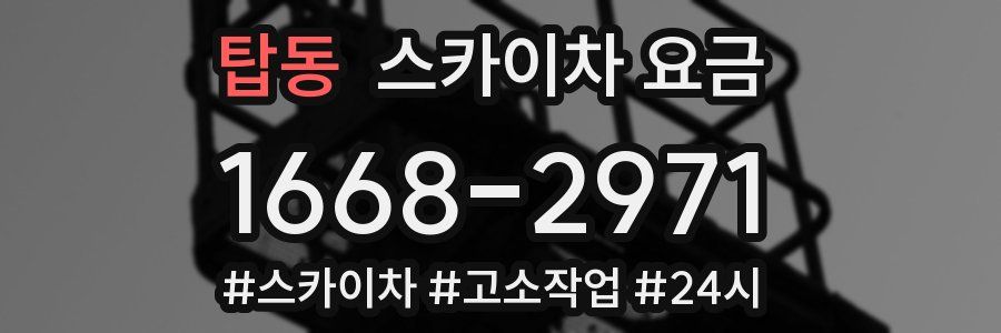 탑동 스카이차 요금