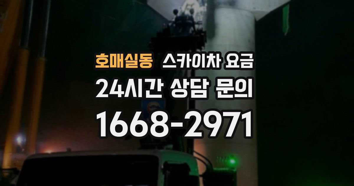 호매실동 스카이차 요금