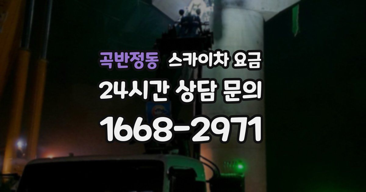 곡반정동 스카이차 요금