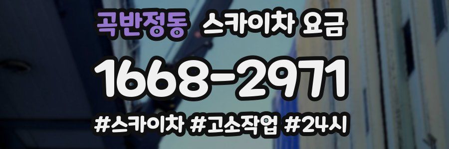곡반정동 스카이차 요금