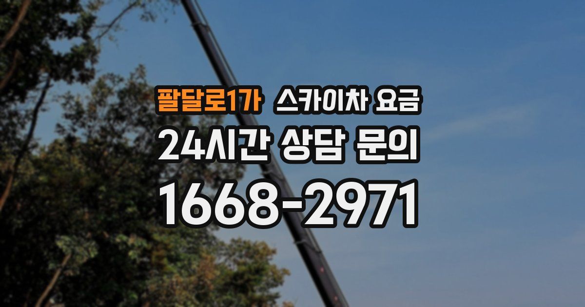 팔달로1가 스카이차 요금